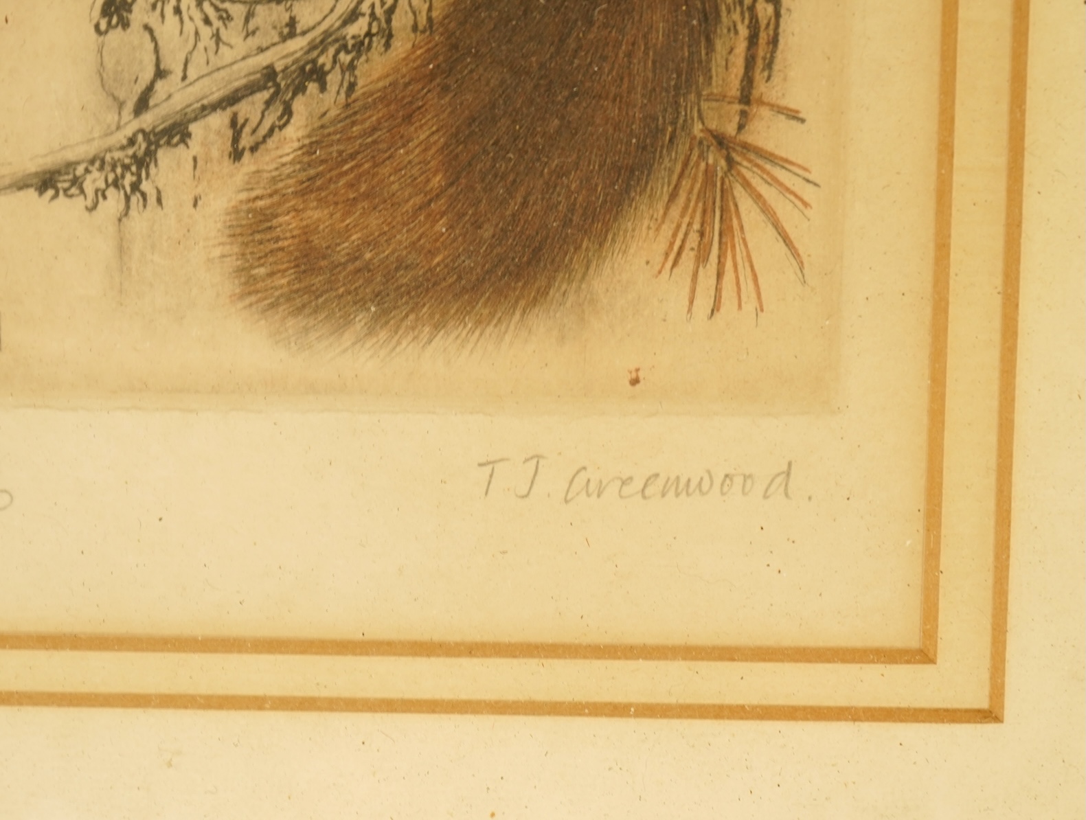 Timothy J. Greenwood (b.1947), Studies of a fox and squirrel, signed in pencil, two limited edition drypoint etchings, 23 x 18cm